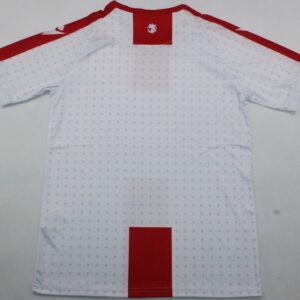 Georgia 2024 National Team Jersey - Image 3