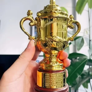 Rugby World Cup trophy Replica - Image 4