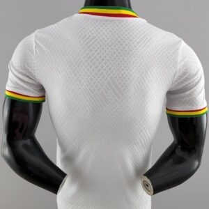 Senegal football team jersey World Cup 2022 - Image 10