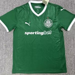 SE Palmeiras soccer jersey 2025