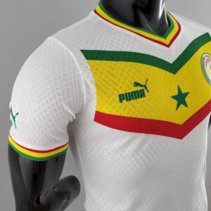 Senegal football team jersey World Cup 2022 - Image 11