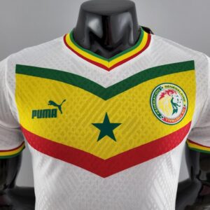 Senegal football team jersey World Cup 2022 - Image 9