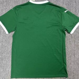 SE Palmeiras soccer jersey 2025 - Image 3