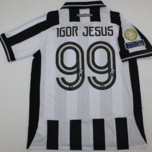 Botafogo soccer jersey 2025-2026