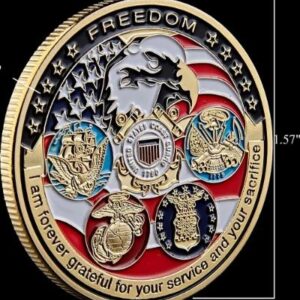 USA Navy military gold challenge coin