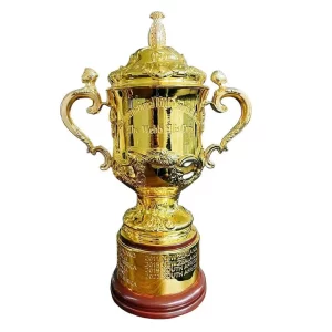 Rugby World Cup trophy Replica - Image 5