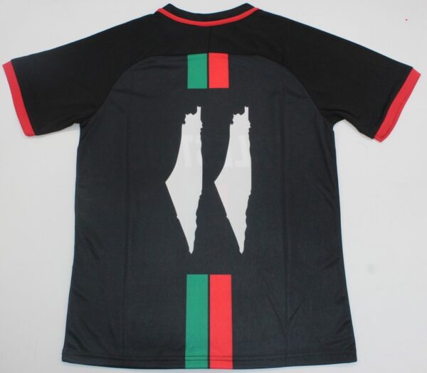 Palestine national team jersey