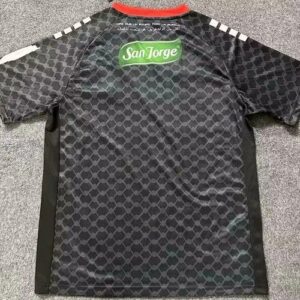 Club Deportivo Palestino superb soccer jersey 2025 - Image 7