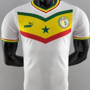 Senegal football team jersey World Cup 2022 - Image 8