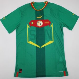 Senegal football team jersey World Cup 2022