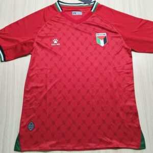 Palestine national football team 2025 jersey - Image 5