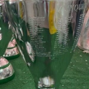 Replica Champions League trophy 2025